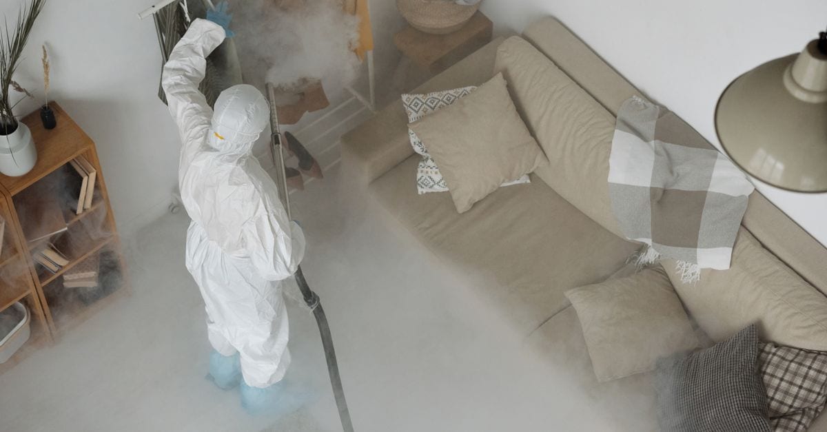 A pest treatment being applied